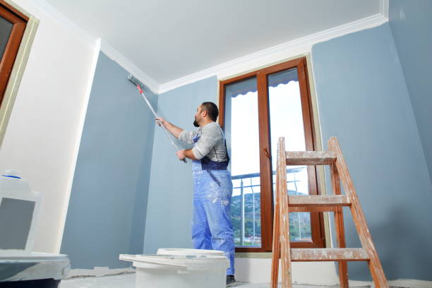 Best Post-Construction Mold Inspection  in Brookhaven, MS