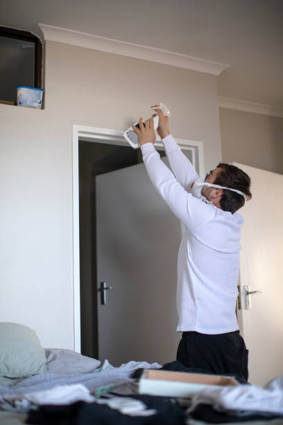 Best Comprehensive Air Testing for Mold Contaminants  in Brookhaven, MS