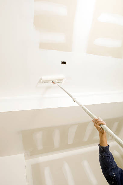 Best Mold Removal for HVAC Installations  in Brookhaven, MS