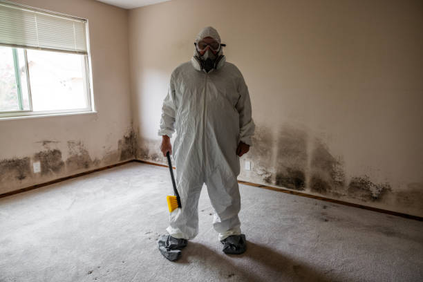 Best Commercial Mold Inspection  in Brookhaven, MS