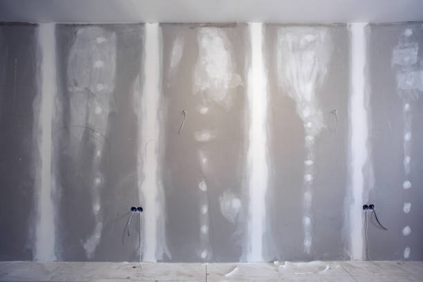 Best Environmental Consulting for Mold Prevention  in Brookhaven, MS