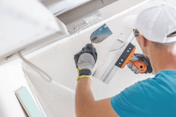Best Basement Mold Removal  in Brookhaven, MS